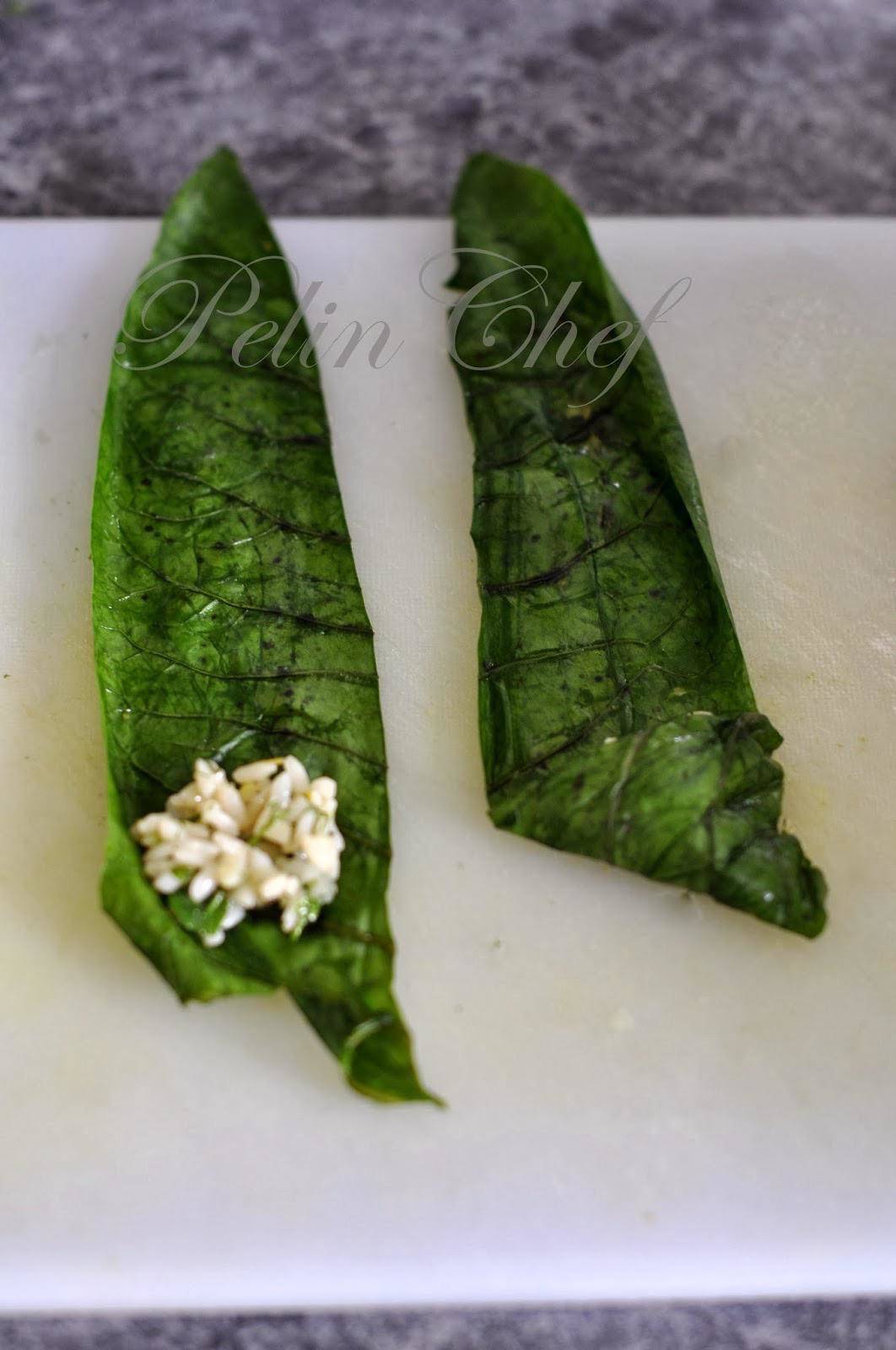 Zeytinyağlı Pazı Sarması Tarifi Zeytinyağlı Pazı Sarması Tarifi